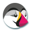 custom_website